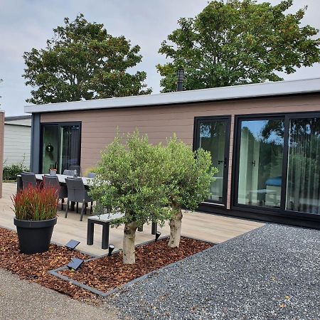 Beachhouse Renesse 2645 Dış mekan fotoğraf