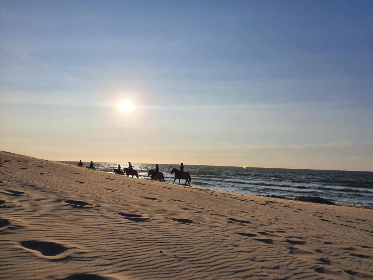 Beachhouse Renesse 2645 Dış mekan fotoğraf