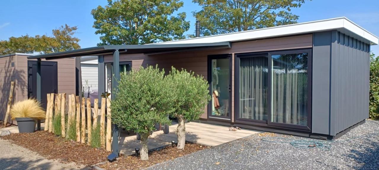 Beachhouse Renesse 2645 Dış mekan fotoğraf